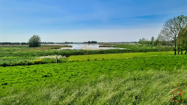 The tour leads you through a green environment
