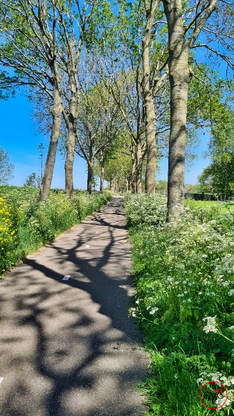 Beautiful cycling paths